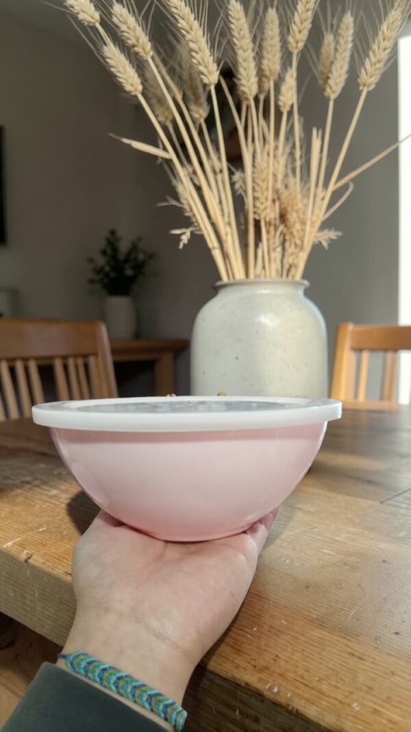 BOWL CON TAPA 19.5*8CM