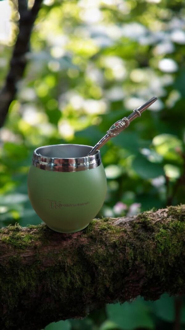 MATE DOBLE PARED VIROLA ACERO AMSS1230 the kitchen