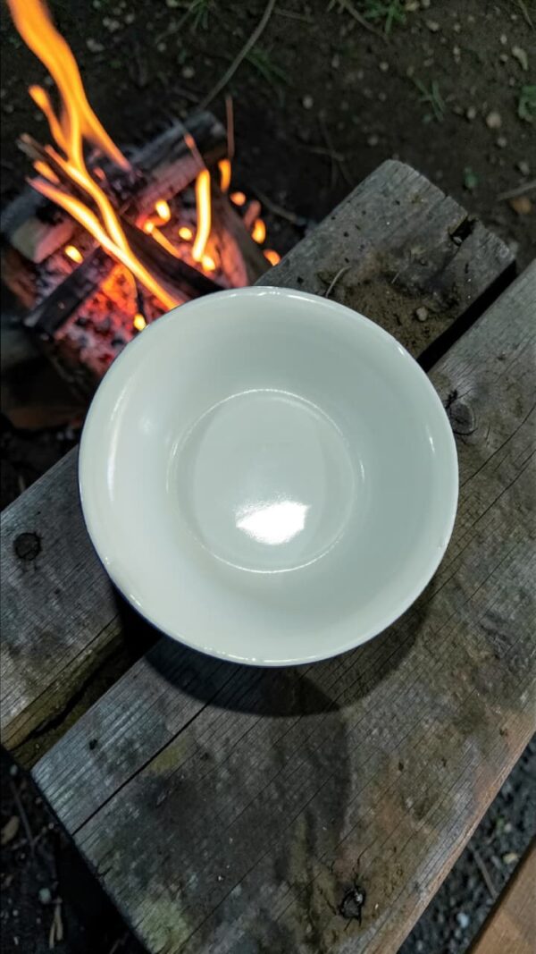 BOWL ENLOZADO BLANCO CON BORDE AZUL 26CM