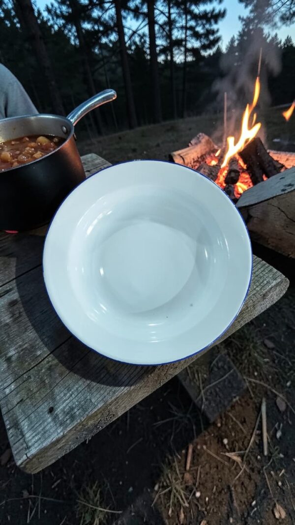 PLATO ENLOZADO C/BORDE AZUL