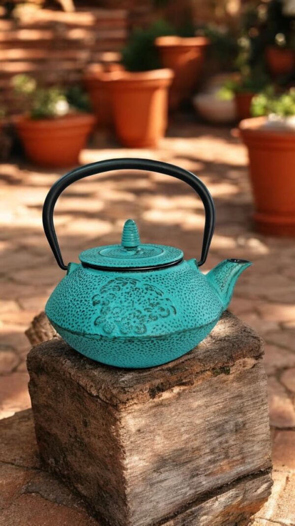 Tetera de Hierro + Filtro 800cc de The Kitchen